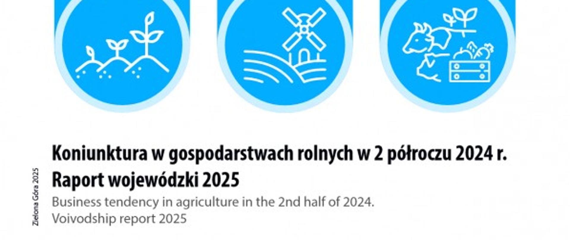 Koniunktura w gospodarstwach rolnych w 2 półroczu 2024 r. raport.