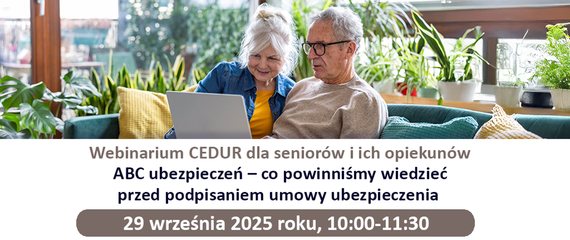 Webinarium