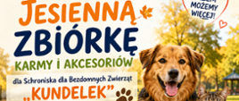 Plakat informuje o jesiennej zbiórce karmy, akcesoriów dla zwierząt i środków czystości organizowanej przez Burmistrza Tyczyna Adriana Michałka na rzecz Schroniska dla Bezdomnych Zwierząt „Kundelek” w Rzeszowie. Zachęca do przekazywania karmy suchej i mokrej, obroży, smyczy, legowisk, koców, misek, zabawek oraz środków czystości, przedstawiając psa, kota i dary dla zwierząt na tle jesiennego parku.