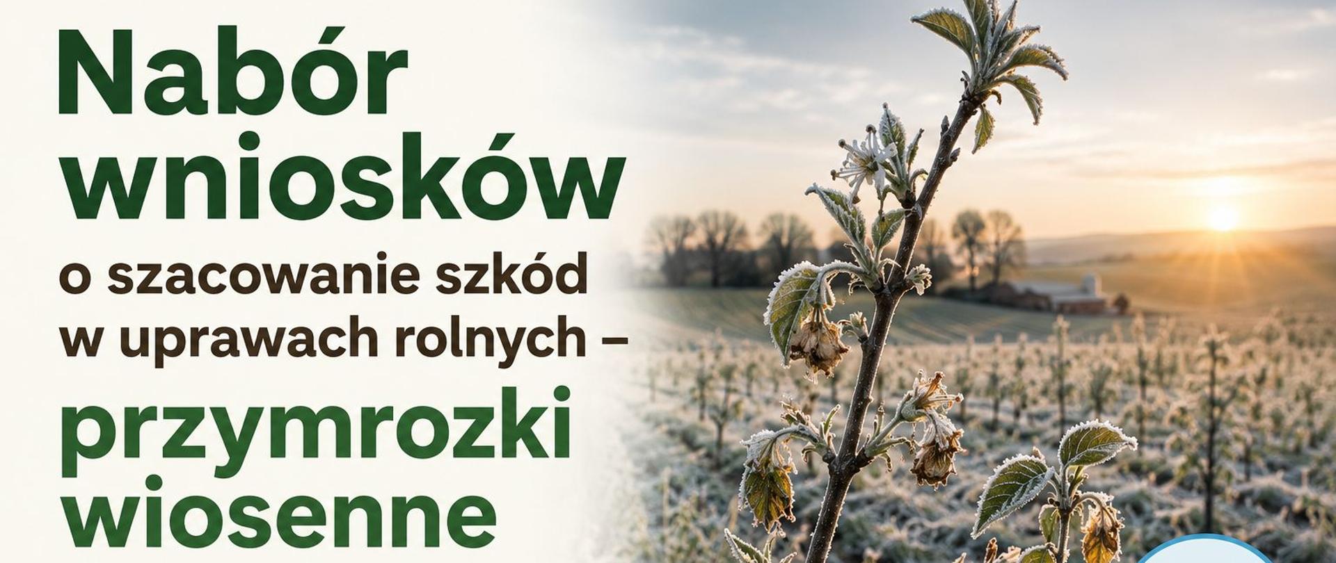 Nabór wniosków o szacowanie szkód w uprawach rolnych