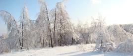 Zima w gminie