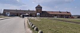 Muzeum Auschwitz