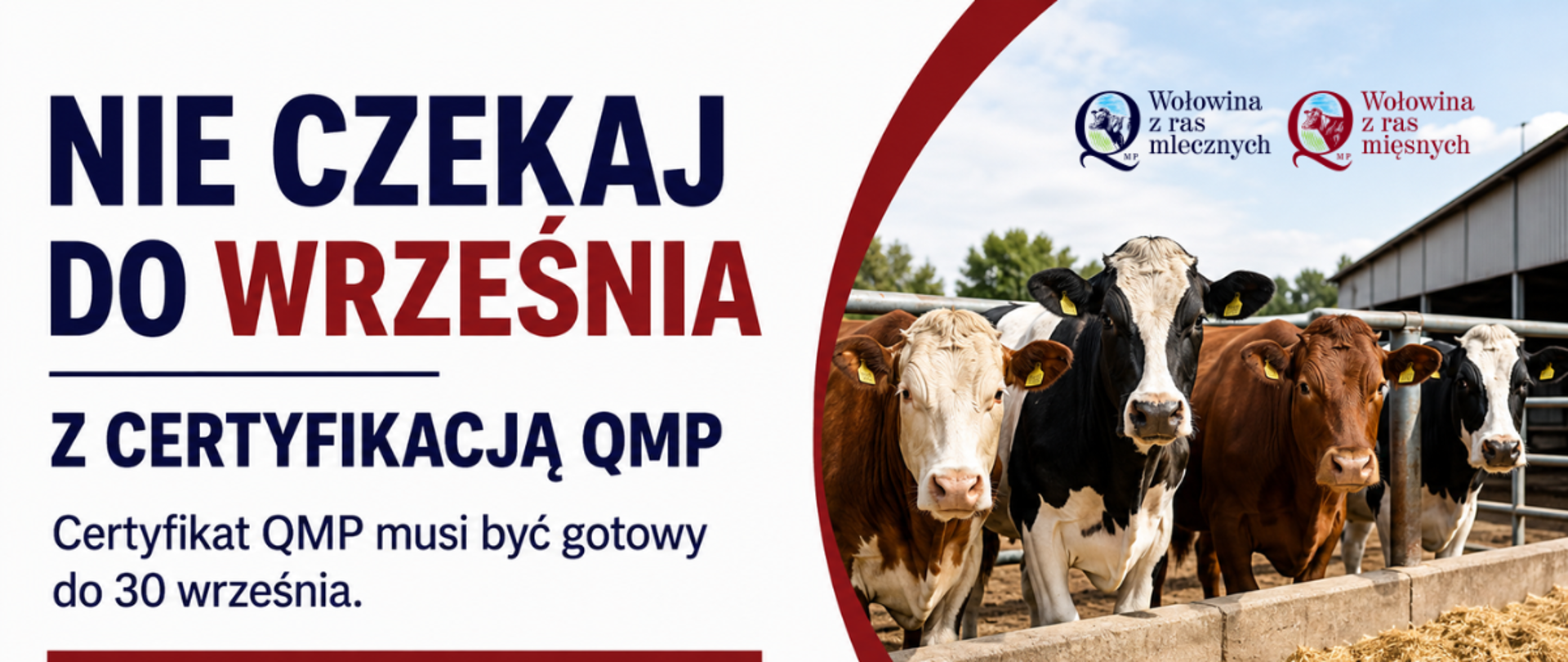 Certyfikacja w systemie QMP
