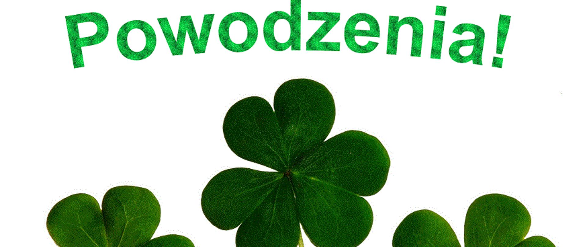 Powodzenia