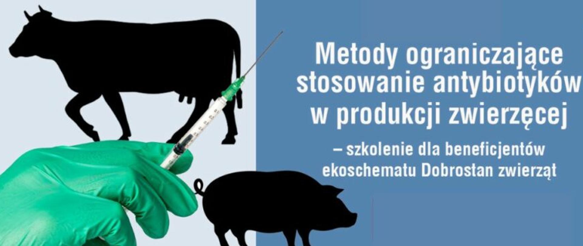 Infografika antybiotyki