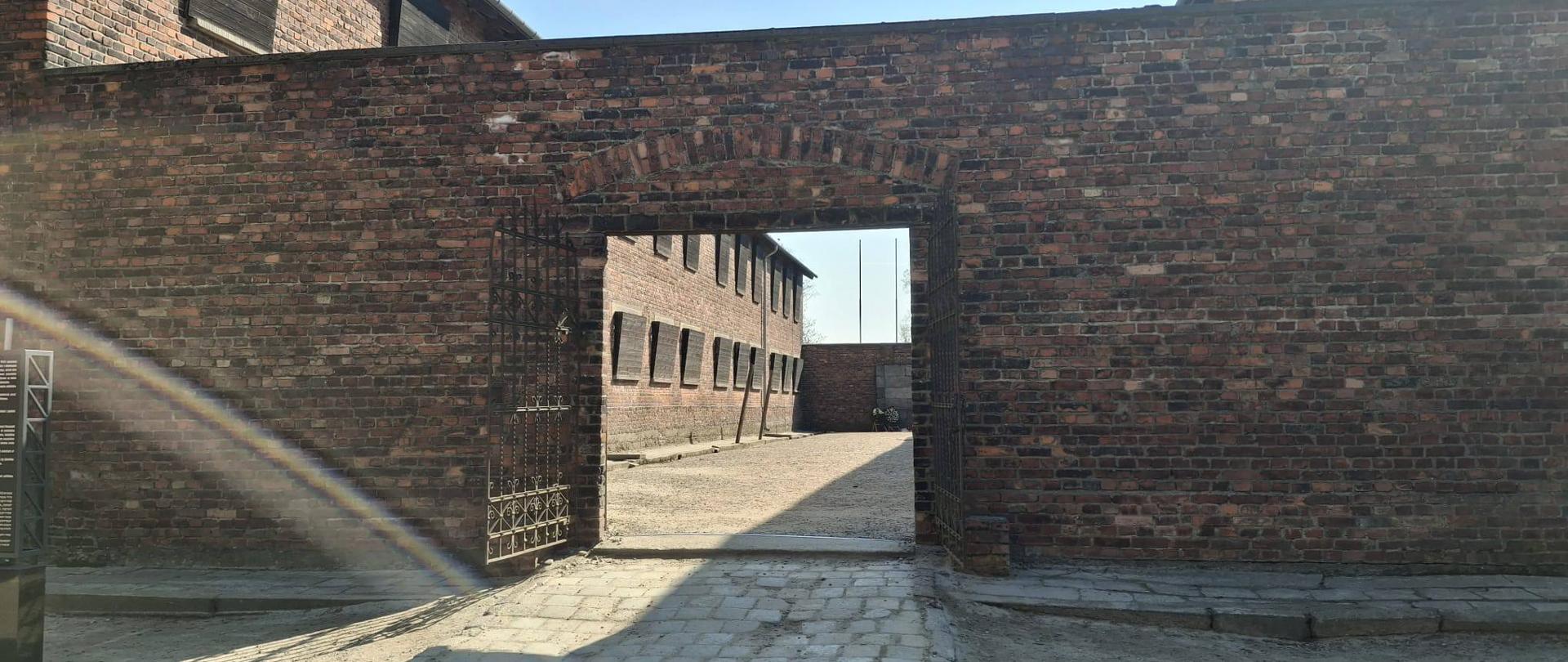 Muzeum Auschwitz