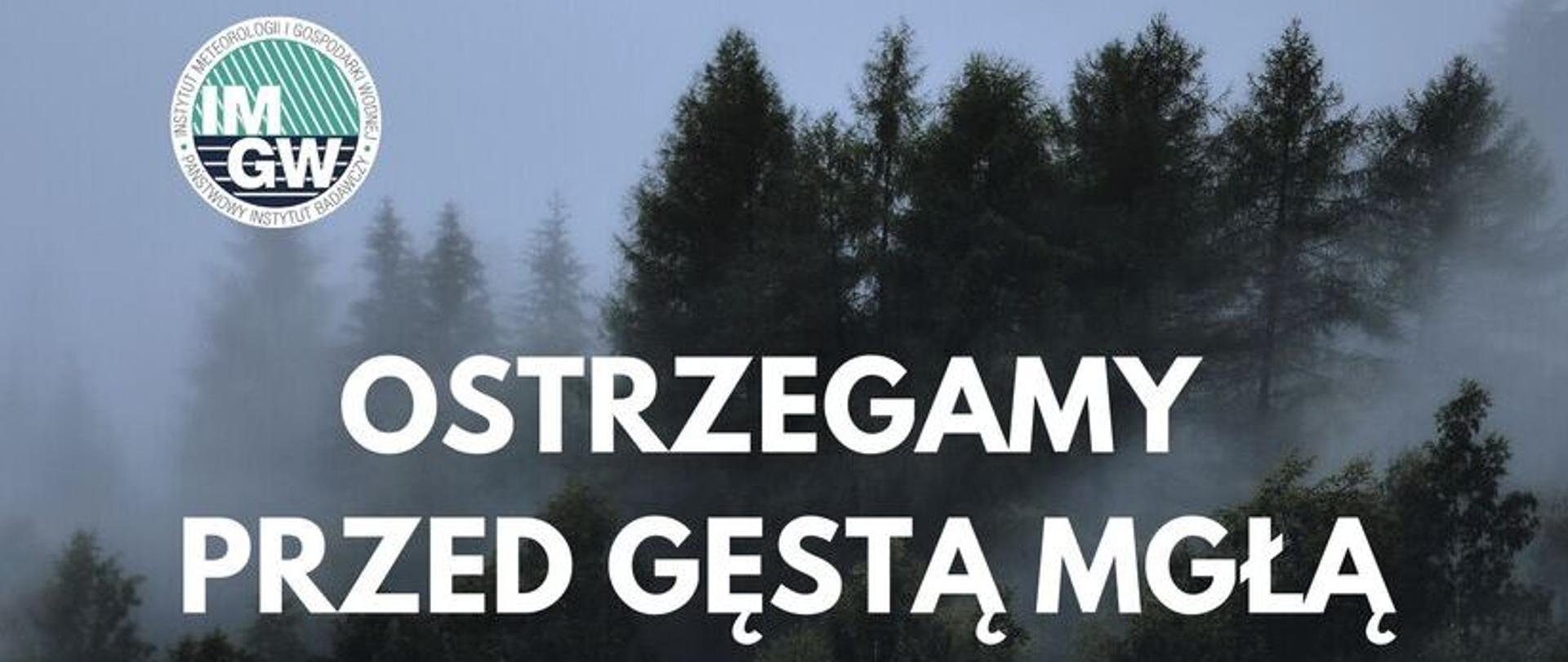 gęsta mgła 