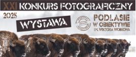 Na plakacie żubry w zimowej scenerii. U góry zdjęcia nazwa wydarzenia, u dołu logotypy organizatorów, partnerów i sponsorów, zawartych w artykule.