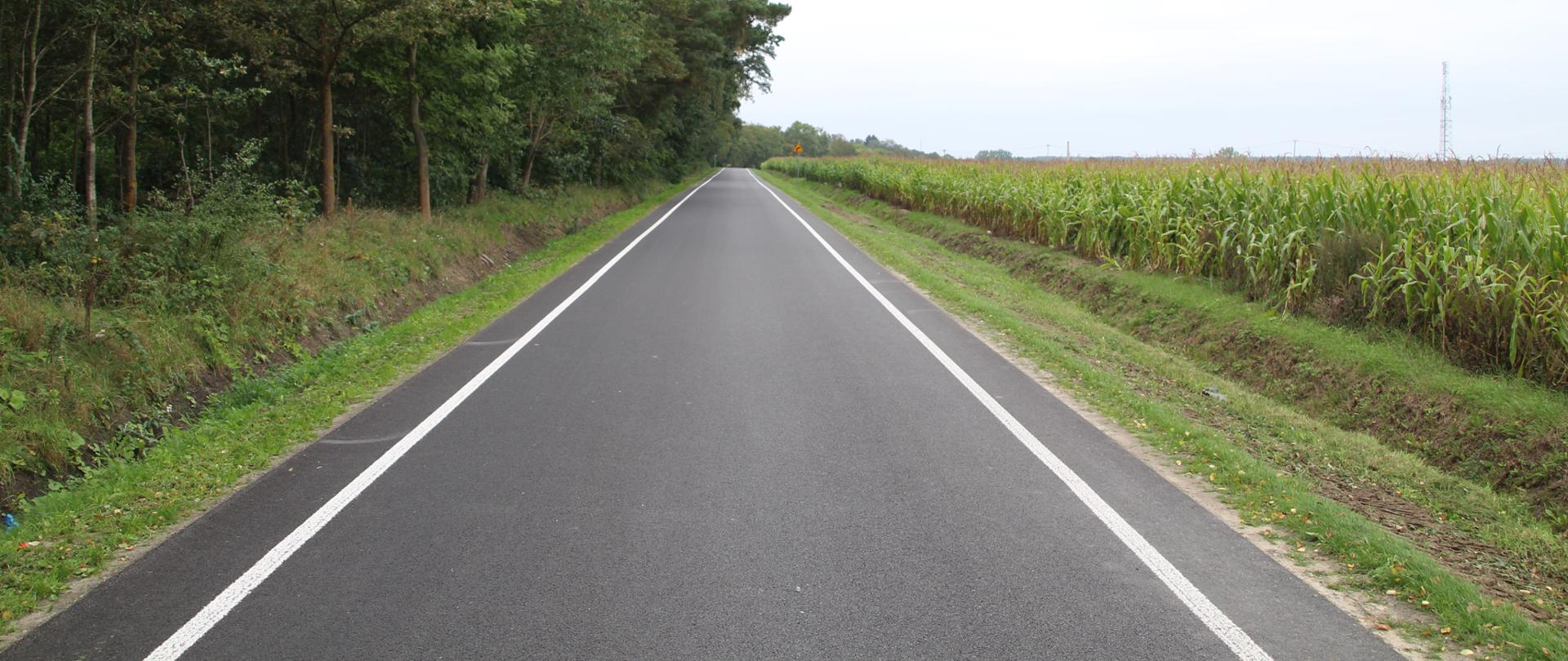 Na zdjęciu widać prostą, czarną drogę z białymi, ciągłymi liniami na poboczach. Po lewej stronie znajduje się gęsty las z wysokimi drzewami, natomiast po prawej rozciąga się duże pole kukurydzy. Horyzont jest na wysokości drogi, a niebo jest jasne i jednolite.
