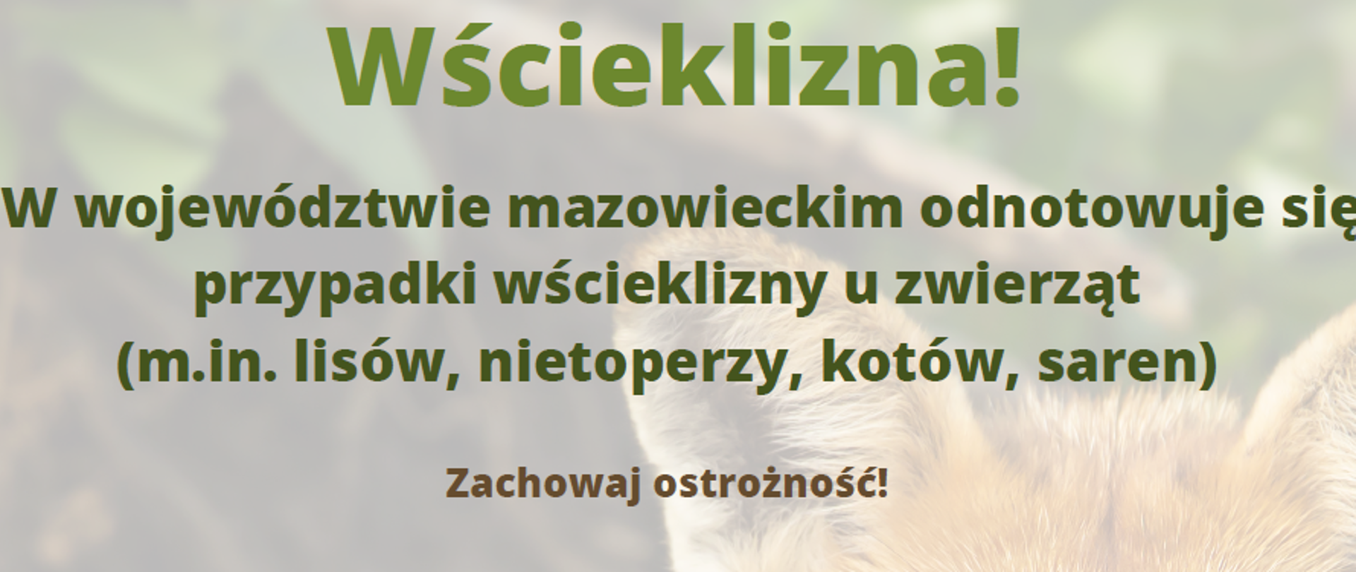 W województwie mazowieckim odnotowuje się przypadki wścieklizny u zwierząt (m.in. lisów, nietoperzy, kotów, saren)