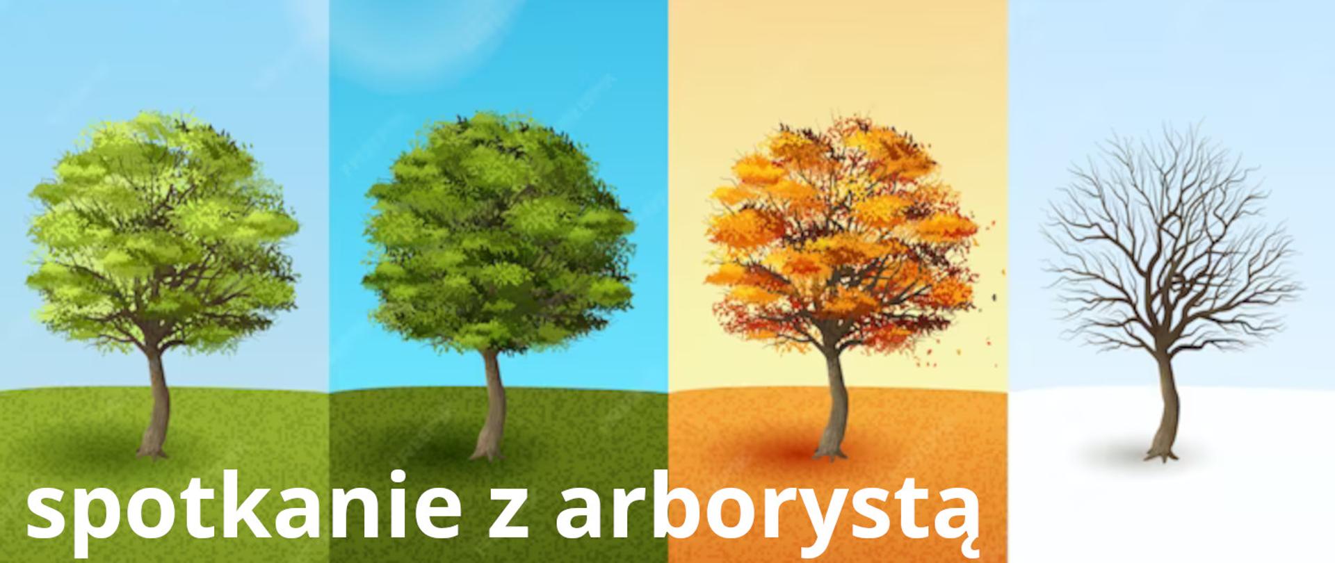 Drzewo przedstawione w czterech porach roku