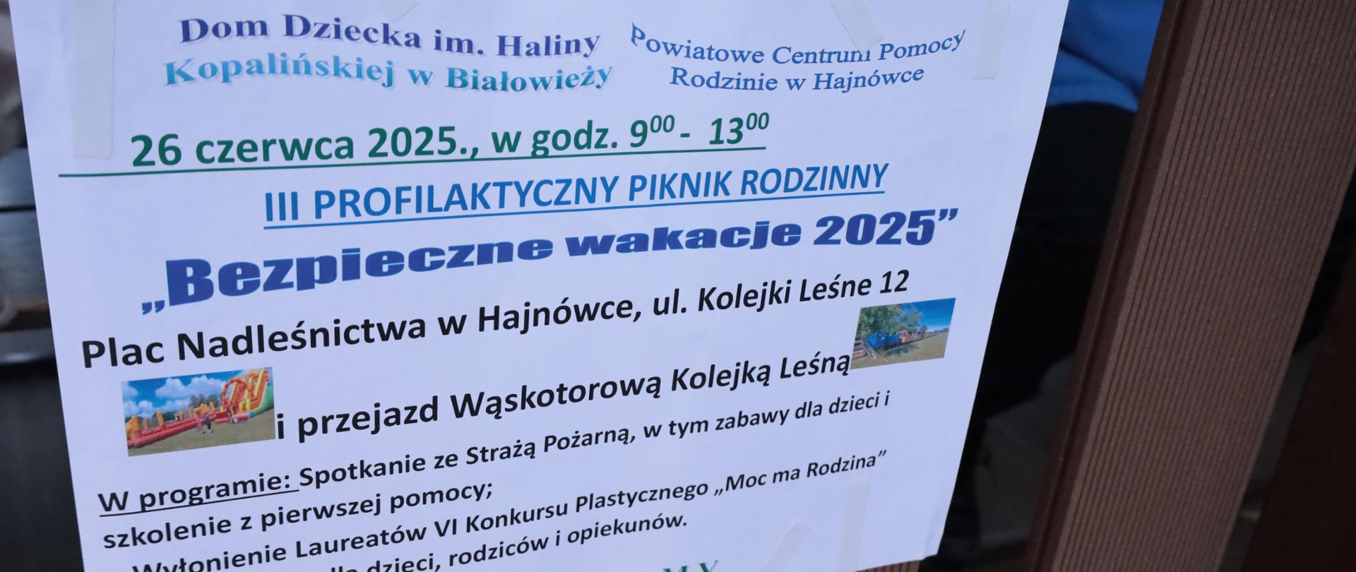 Plakat Pikniku