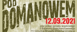 Bitwa pod Domanowem