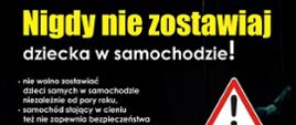 Nigdy nie zostawiaj - Nie bądź obojętny! – akcja społeczna Powiatu Koneckiego