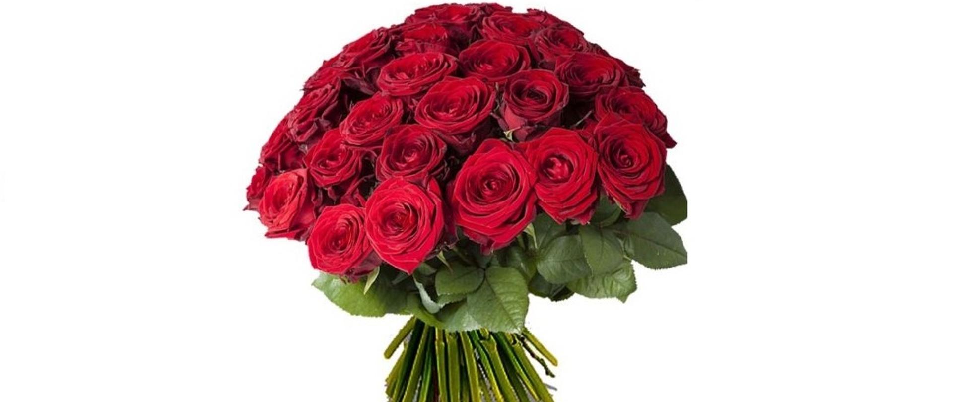 roze