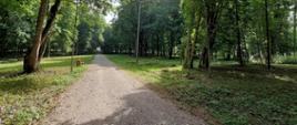 Park w Repkach