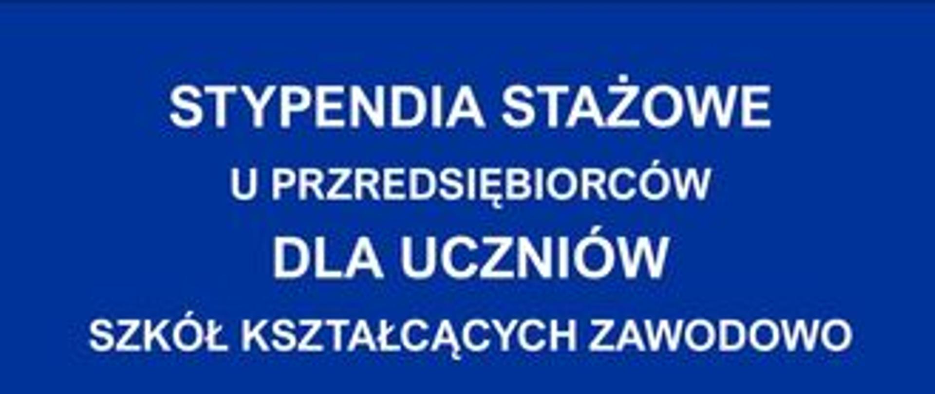 Miniatura Stypendia Stażowe