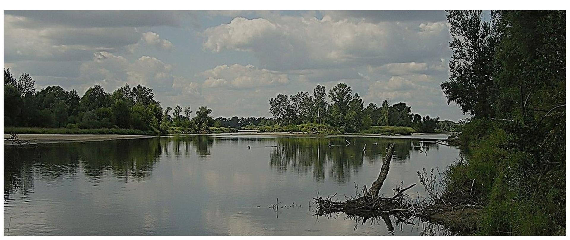 środowisko25