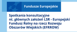 Plakat informacyjny na temat Spotkania konsultacyjne na temat głównych założeń LSR! 