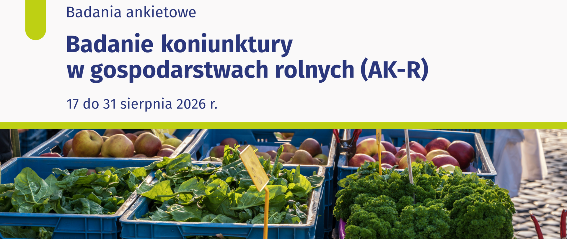 slider badanie koniuktury