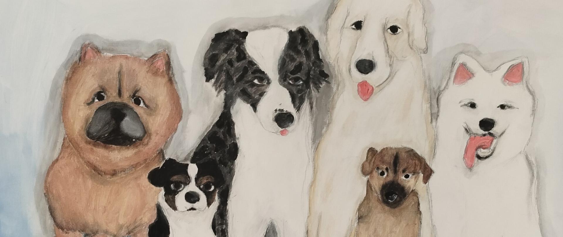 schronisko