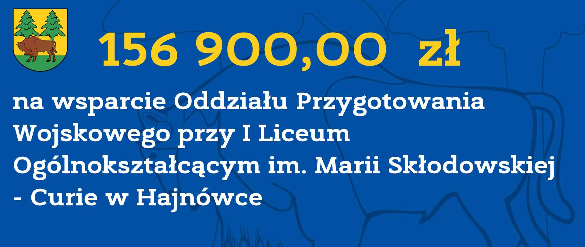 156 900,00 zł na wsparcie Oddziału Przygotowania Wojskowego przy I Liceum Ogólnokształcącym im. Marii Skłodowskiej - Curie w Hajnówce