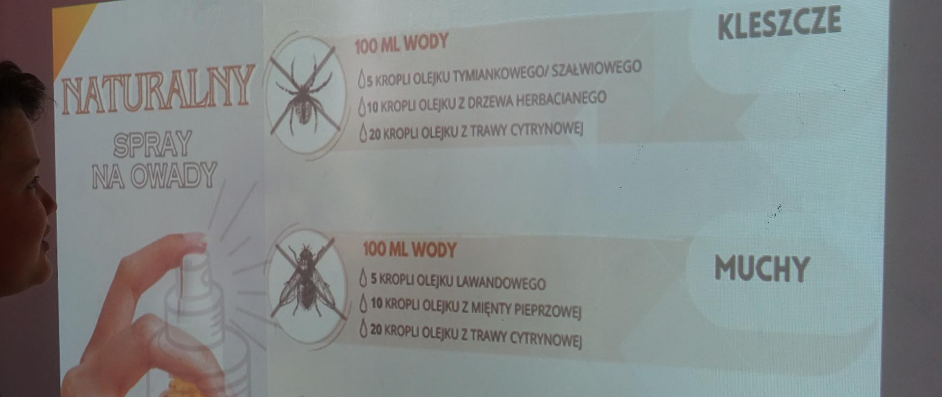 Slajd z prezentacji nt kleszczy.