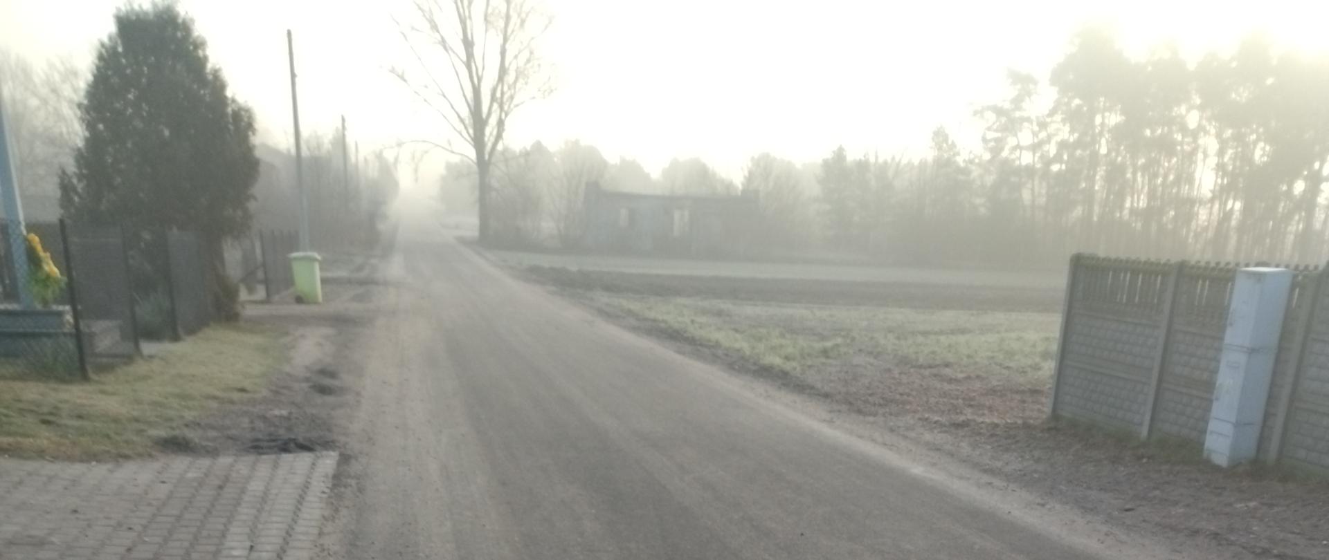 Na zdjęciu widoczna jest spokojna, wiejska droga rozciągająca się w dal. Droga nie jest asfaltowa, lecz wykonana z ubitej ziemi lub żwiru. Po lewej stronie znajduje się utwardzony chodnik z kostki brukowej. Niedaleko chodnika stoi zielony kosz na śmieci, a za nim ogrodzenie z żywopłotem. Po prawej stronie drogi widoczne jest inne ogrodzenie z bramką oraz skrzynką pocztową. W tle można dostrzec drzewa i dom, a lekko zamglona atmosfera sugeruje wczesny poranek lub późne popołudnie. Sceneria sprawia wrażenie spokojnej i cichej, bez widocznych ludzi czy pojazdów.