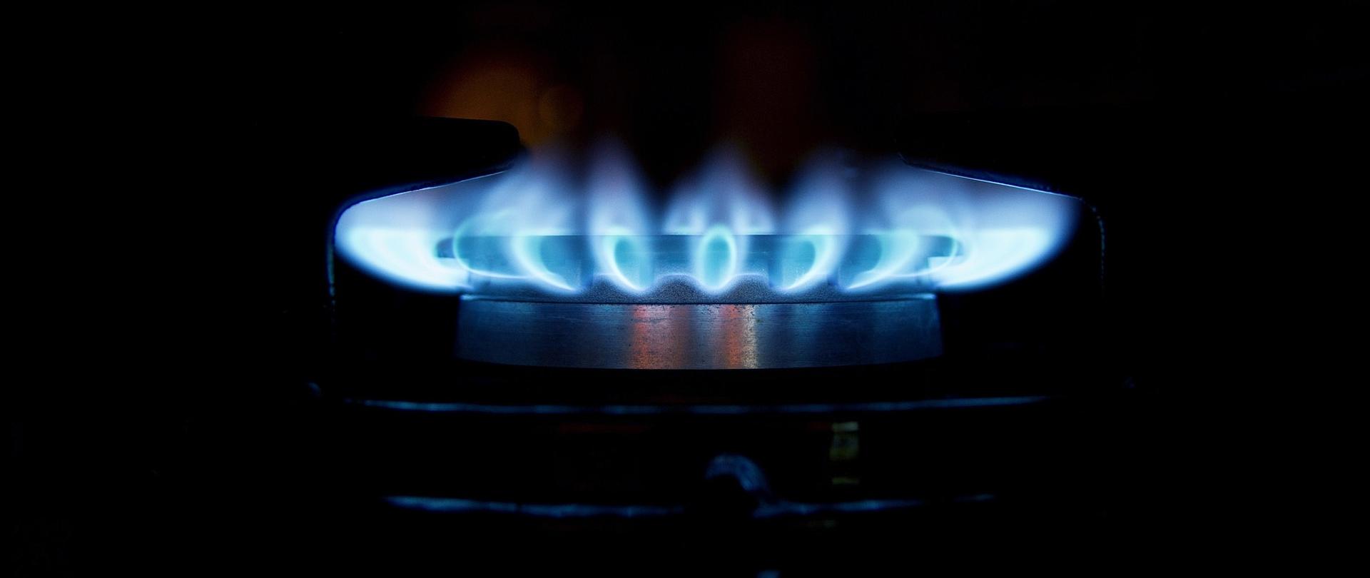 Błękitne płomienie wydobywające się z kuchennego palnika gazowego na czarnym tle