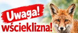 informacja o potwierdzonym przypadku wścieklizny
