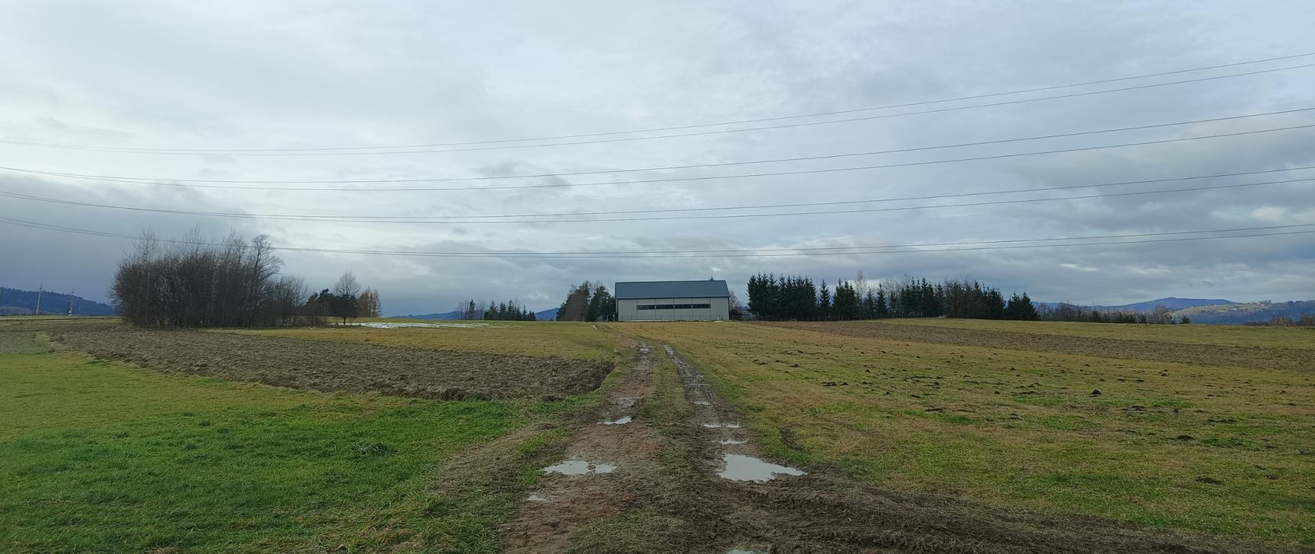 Droga rolna do gruntów rolnych. W tle szare niebo.