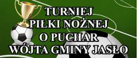 Turniej Piłki Nożnej o Puchar Wójta Gminy Jasło 