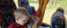 Drugoklasiści odkrywają las 🌿
