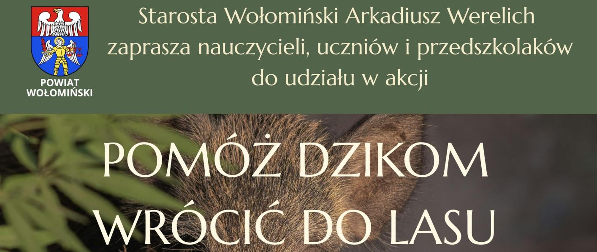 Pomóż dzikim wrócić do lasu