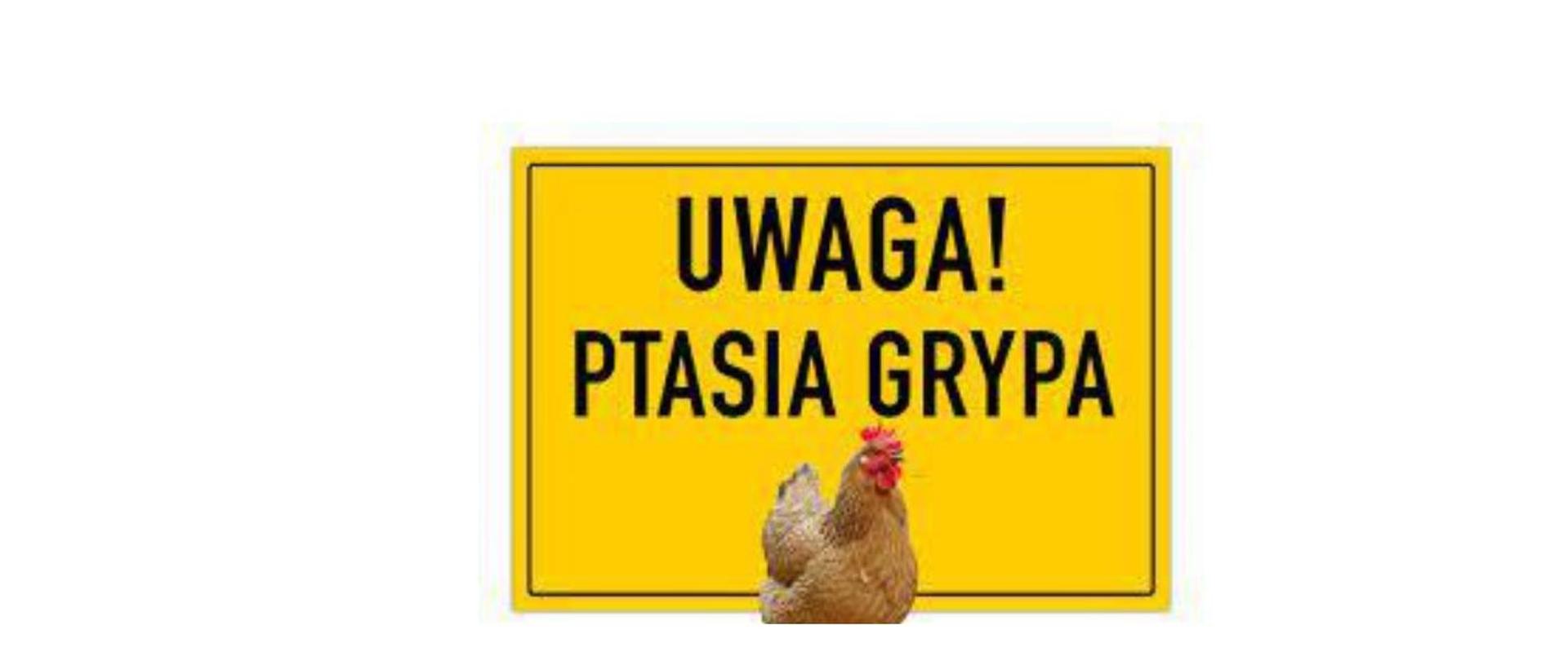 Uwaga! Ptasia grypa