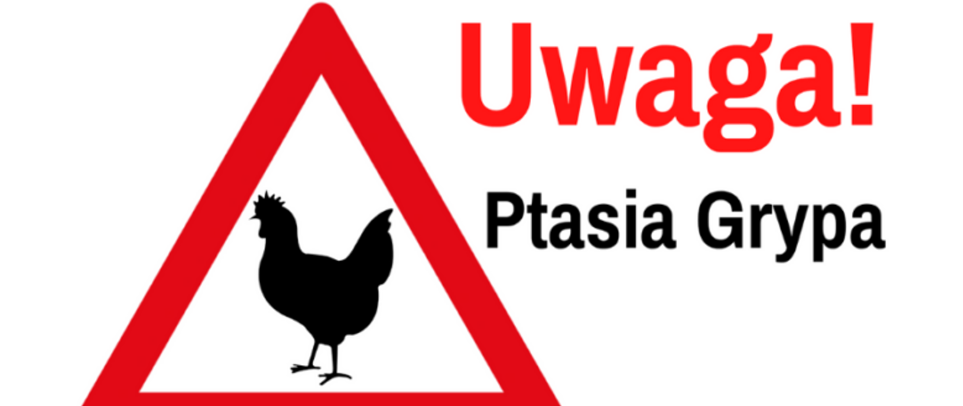 UWAGA! PTASIA GRYPA