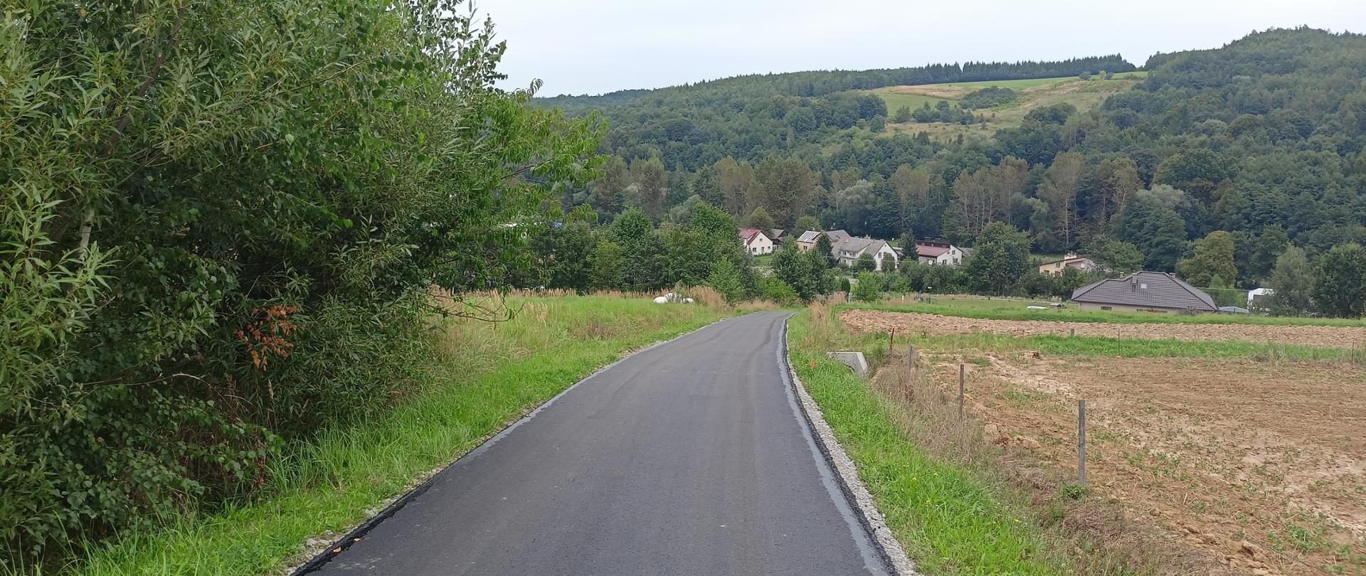 Droga Straszydle - Folwark