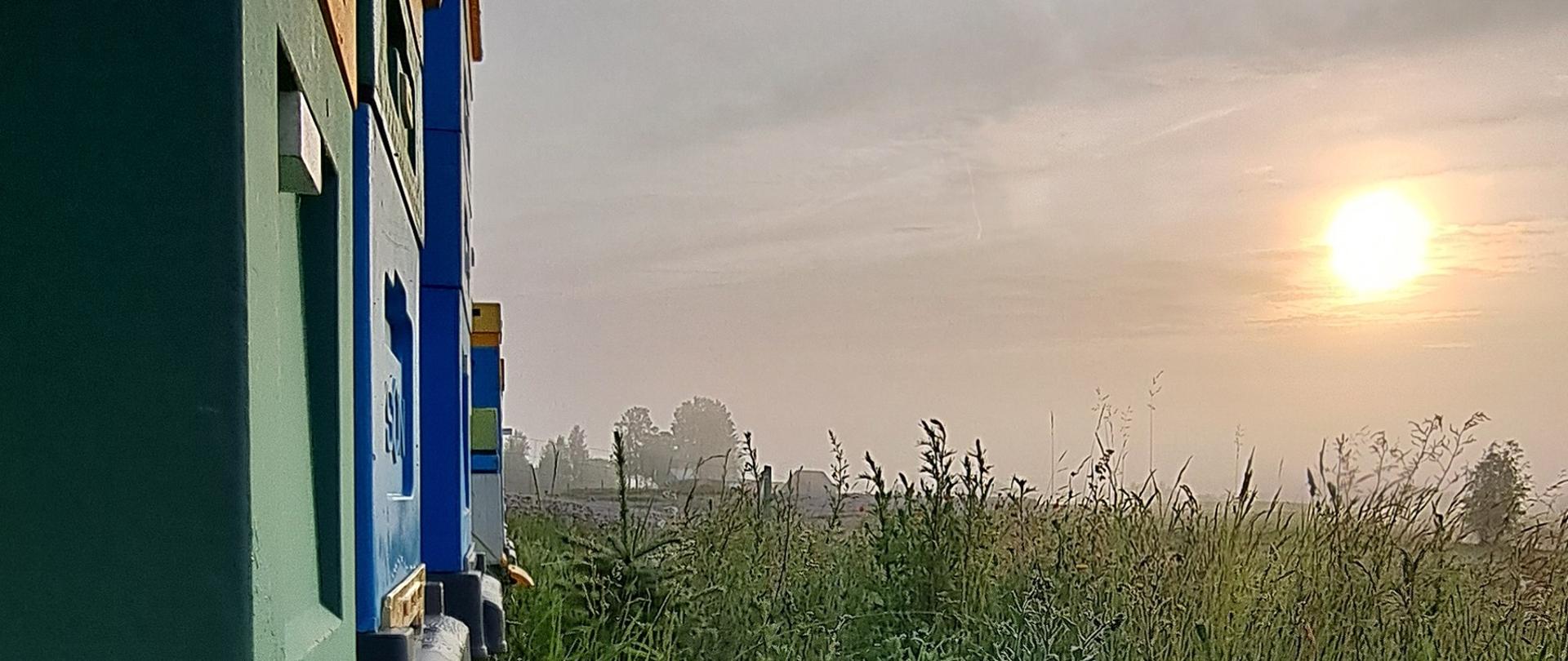 widok uli