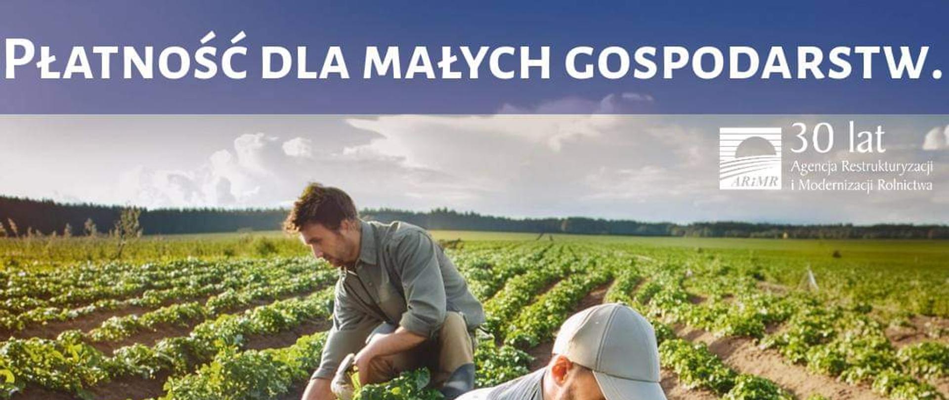 płatności dla małych gospodarstw