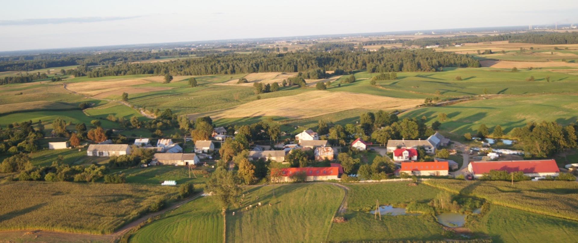 Chojnówek