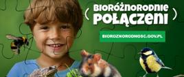 Kampania „Bioróżnorodnie połączeni”