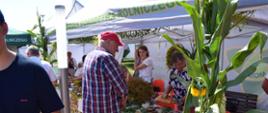 Dni Miasta i Gminy Mordy (12-13.08.2023)