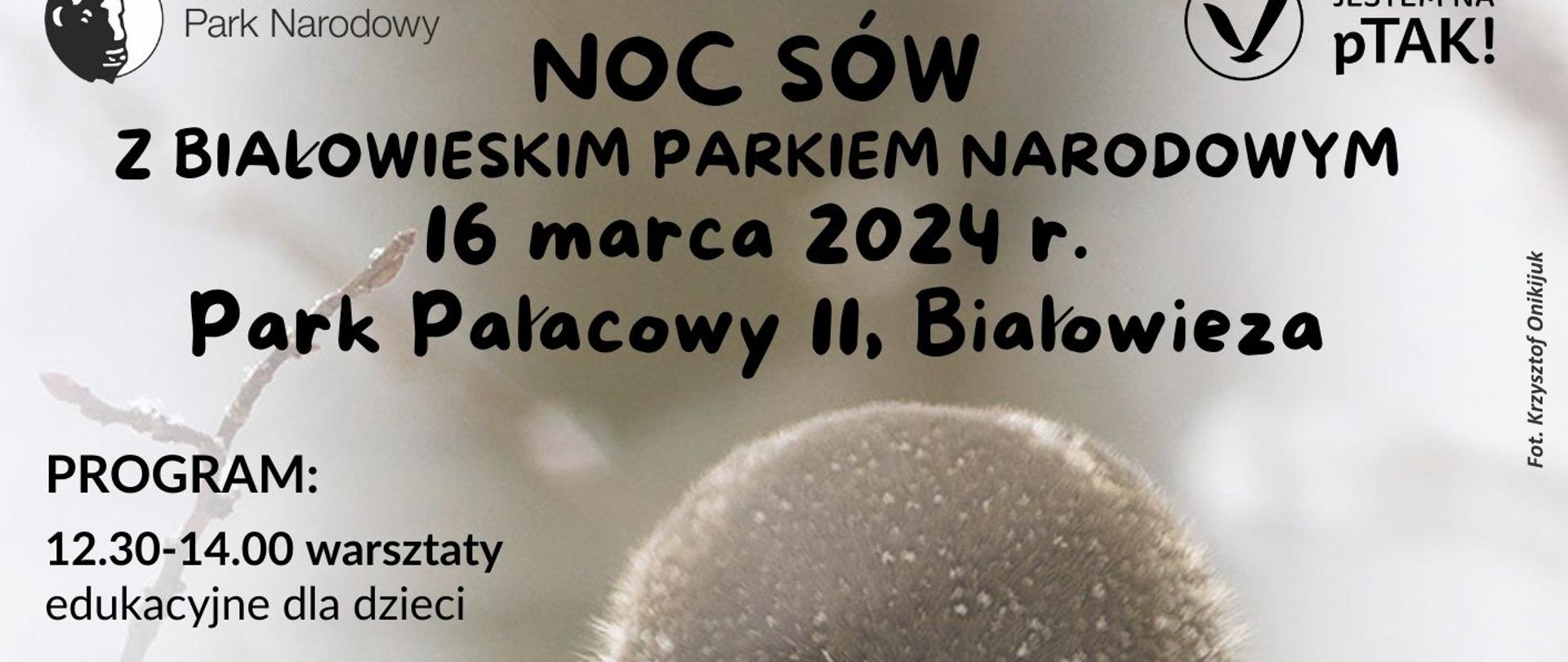 Na plakacie informacje organizacyjne, zawarte w artykule, w tle zdjęcie sowy