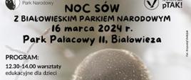 Na plakacie informacje organizacyjne, zawarte w artykule, w tle zdjęcie sowy