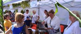 Dni Miasta i Gminy Mordy (12-13.08.2023)