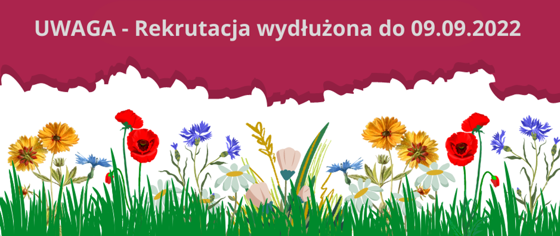 zdjęcie przedstawia plakat projektu 