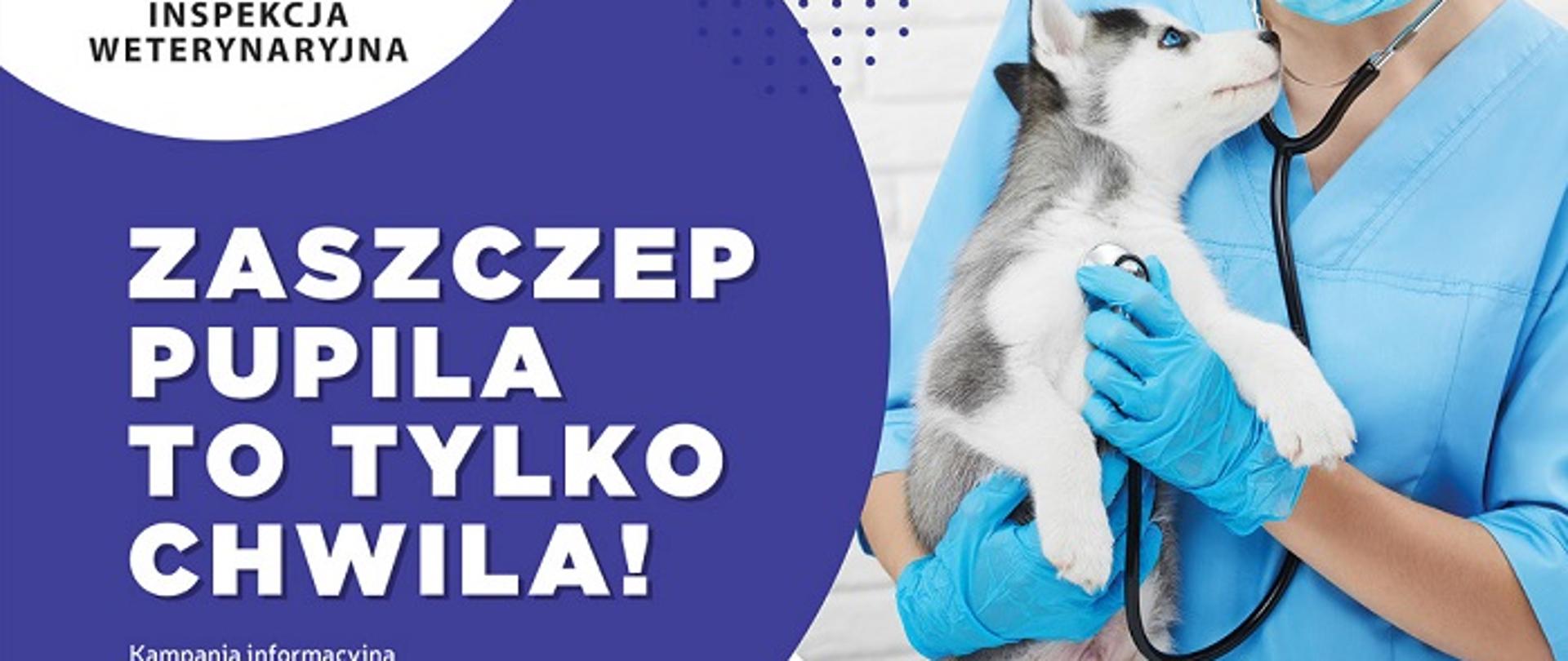 plakat informujący o obowiązku szczepienia zwierząt domowych