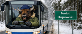 Przez zimową Puszczę Białowieską jedzie autobus, którym kieruje żubr. Obok drogowskaz "Powiat Hajnowski"