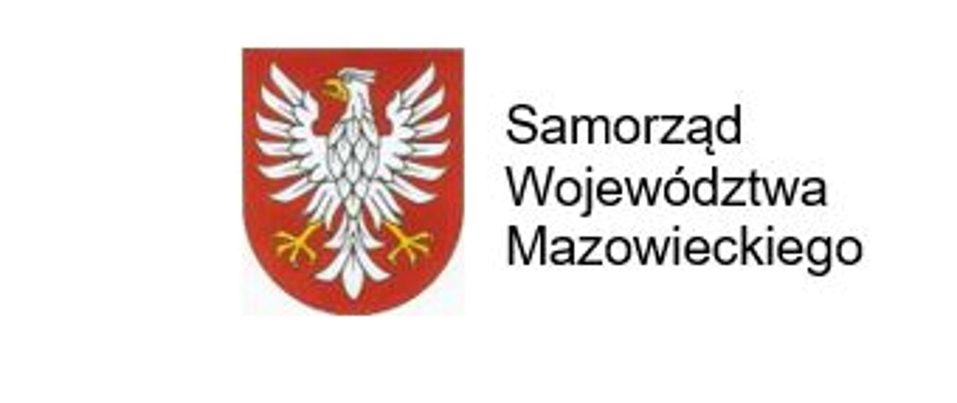 Przebudowa drogi wewnętrznej w miejscowości Skrzeszew
