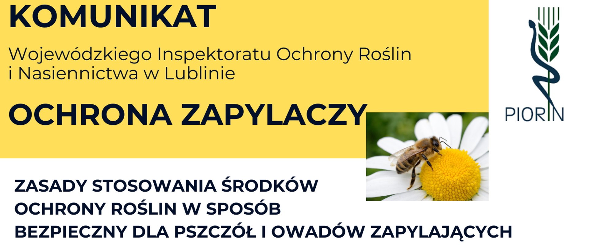 Komunikat dotyczący stosowania środków ochrony roślin – ochrona pszczół i owadów zapylających